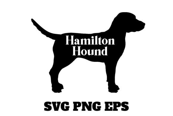 Hamilton Hound Vector Dog