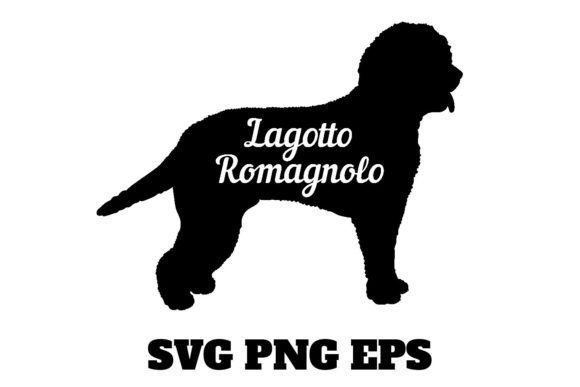 Lagotto Romagnolo Dog Vector