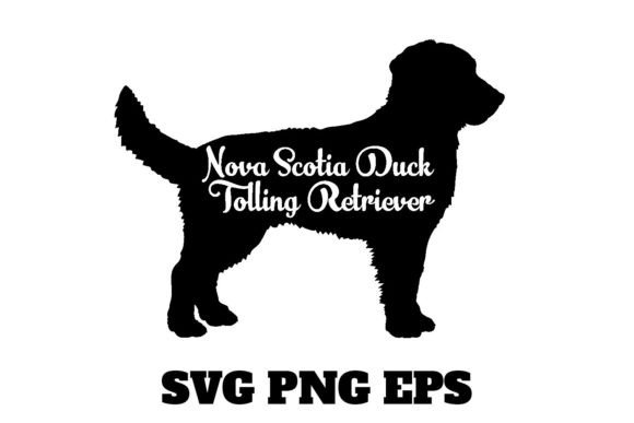 Nova Scotia Duck Tolling Retriever Design Review